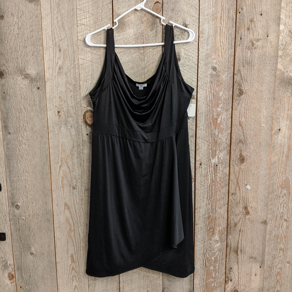 Pea Pod maternity drape fit flare dress